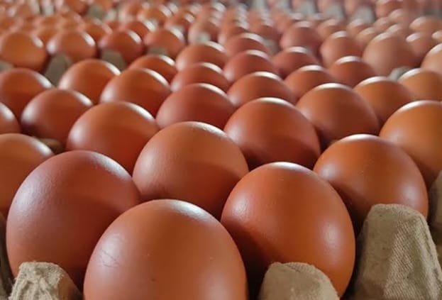 Harga Bawang Putih Naik di Pasaran 