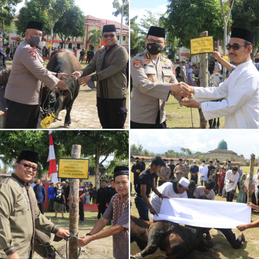 59 Sapi dan 2 Kambing Disembelih, Polda Sumbar Bagikan Daging Kurban ke Kaum Duafa dan Korban Gempa