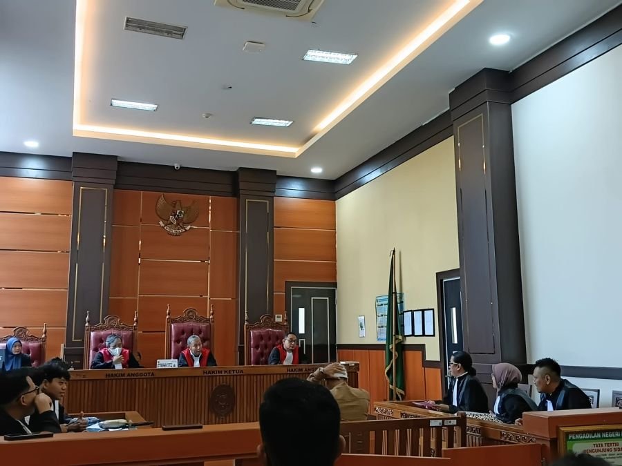 Ahli JPU Benarkan Staedment Menkominfo Bahwa Pembinaan Administratif Dikedepankan Dalam Perkara Yogi