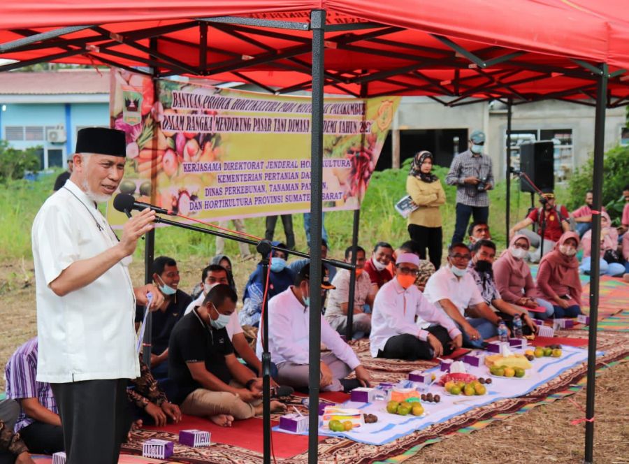 Anggaran 10 Persen dari APBD Bukti Sumbar Serius di Pertanian
