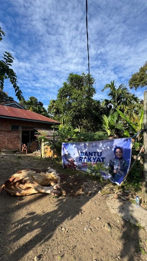 Athari Gauthi Ardi Salurkan Bantuan Sapi Kurban untuk Sawahlunto, Melalui Ketua DPRD Susi Haryati