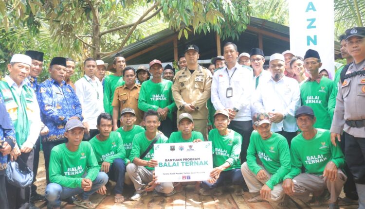 BAZNAS RI Dan Pemkab Sijunjung Luncurkan Program Balai Ternak Di Daerah Transmigrasi Padang Taro