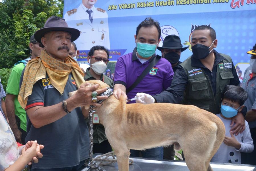 Berantas Rabies, Pemprov Sumbar Gandeng Organisasi Buru Babi