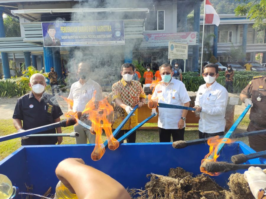 BNNP Sumbar Musnahkan Barang Bukti 200kg Ganja