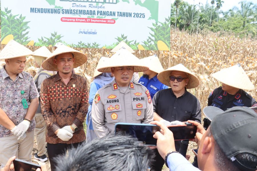 Bupati dan Kapolres Pasbar Panen Jagung Serentak Dukung Swasembada Pangan 2025 
