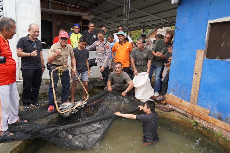 Danrem 032/Wbr Bersama PJU dan Dandim 0312/Padang Panen Ikan Nila