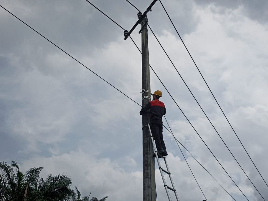 Dukung Akses Digital, PLN Icon Plus Lakukan Pemeliharaan Infrastruktur Internet di Sei Kijang