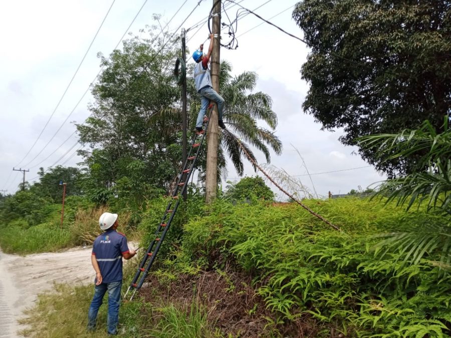 Dukung Digitalisasi Industri, PLN Icon Plus Sediakan Jaringan Andal untuk PT. Inti Indosawit