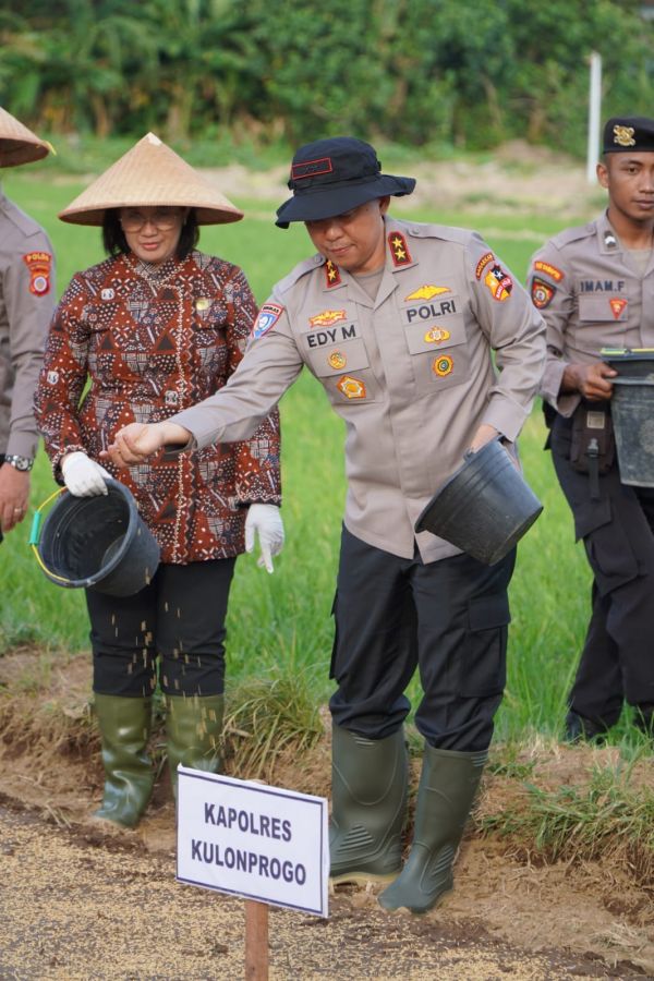 Dukung Ketahanan Pangan Nasional, Kakorbinmas Baharkam Polri Semai Padi di Kulonprogo