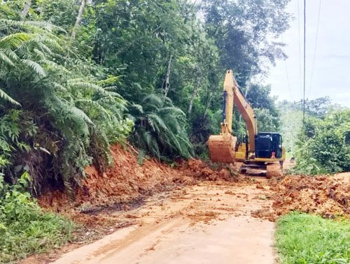 Gerak Cepat Pemkab Dharmasraya di IX Koto, Akses Sudah Dapat Dilalui, Listrik Kembali Menyala