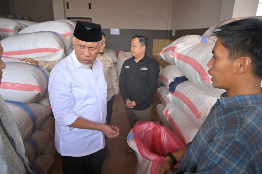 Gubernur Mahyeldi: Investasi Pengolahan Pinang Gerakkan Ekonomi Masyarakat