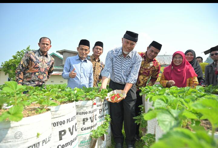 Gubernur Mahyeldi Pacu Aktivitas Pertanian Organik karena Masyarakat Sumbar Peduli Pangan Sehat