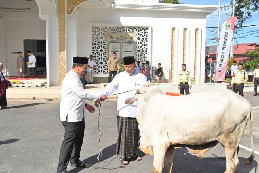 Gubernur Mahyeldi Serahkan Hewan Kurban ke Pengurus Masjid Baitul Auliya Kantor Gubernur