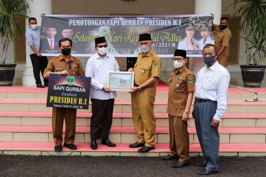 Gubernur Mahyeldi Serahkan Sapi Kurban Presiden ke Masjid Raya Sumbar