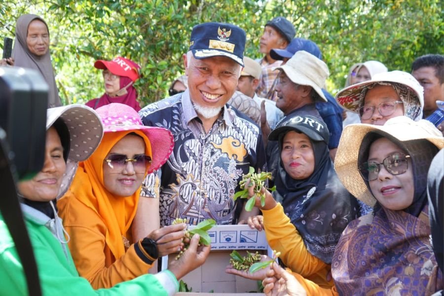 Gubernur Mahyeldi Siapkan Penguatan Sentra Cengkeh Solok, Bangun Irigasi dan Jalan Usaha Tani