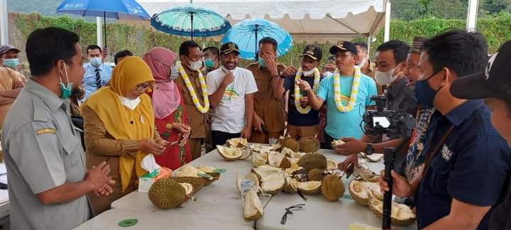 Gubernur Sumbar Ajak Solsel Tentukan Satu Nama Khas Durian Terbaiknya