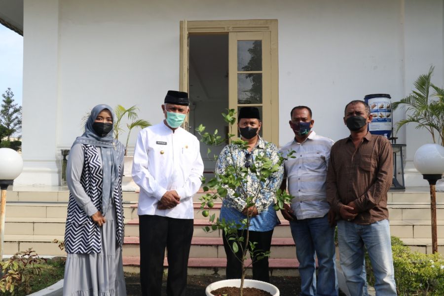 Gubernur Sumbar Apresiasi Program Sejuta Bibit Buah untuk Kemakmuran Masjid