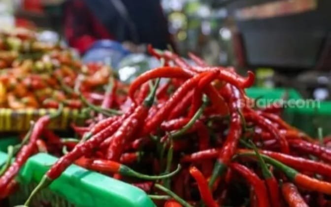 Harga cabe Naik Lagi 