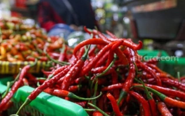 Harga Cabe Turun Harga