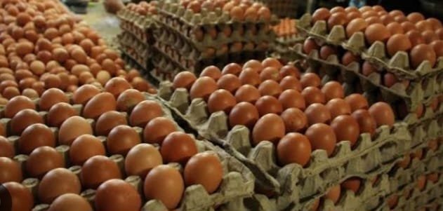 Harga Telur Itik Naik, Aktifitas Pedagang di Pasar Normal 