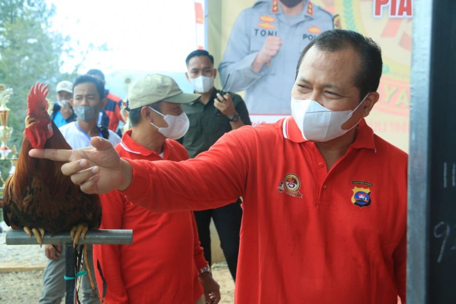 Irjen Pol Toni Harmanto buka Lomba Ayam Kukuak Balenggek Piala Kapolda Sumbar Cup