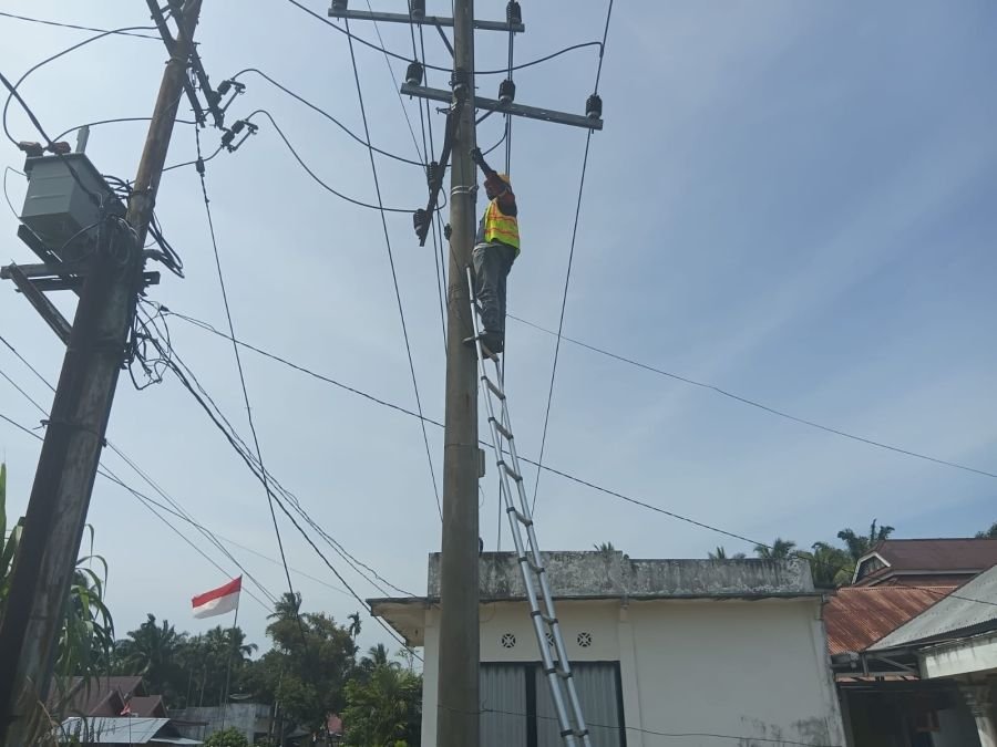 Jaga Kualitas Telekomunikasi, PLN Icon Plus Lakukan Perapian Jalur Fiber Optik di Pesisir Selatan