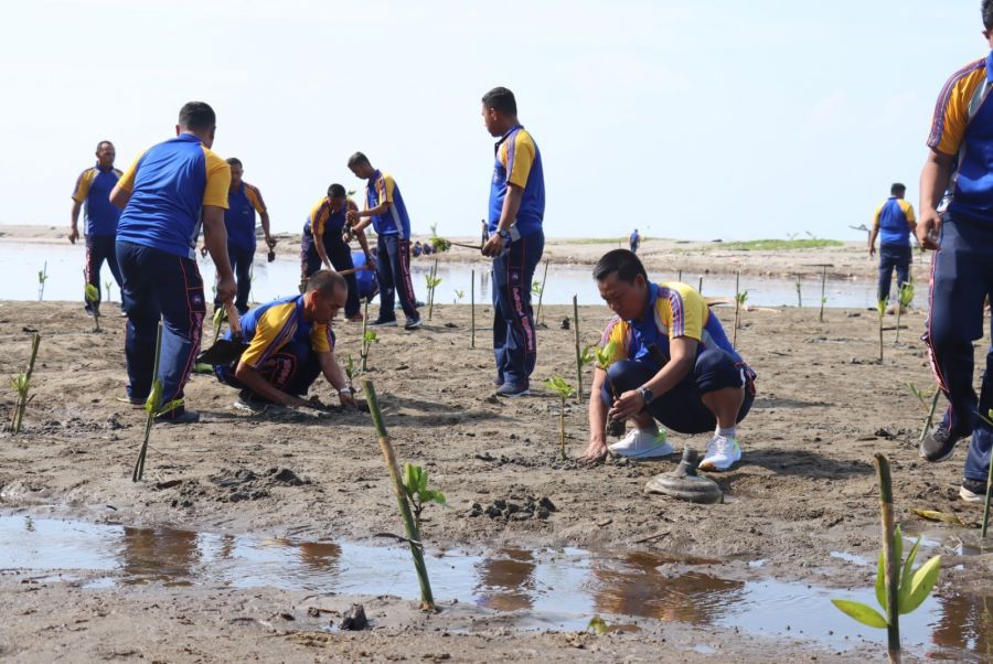 Kapolres Pasaman Barat Kembali Tanam 1.300 Bibit Pohon Bakau Untuk Cegah Abrasi Pantai