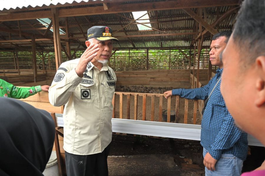 Kebijakan Mahyeldi untuk Dongkrak Kesejahteraan Peternak di Sumbar