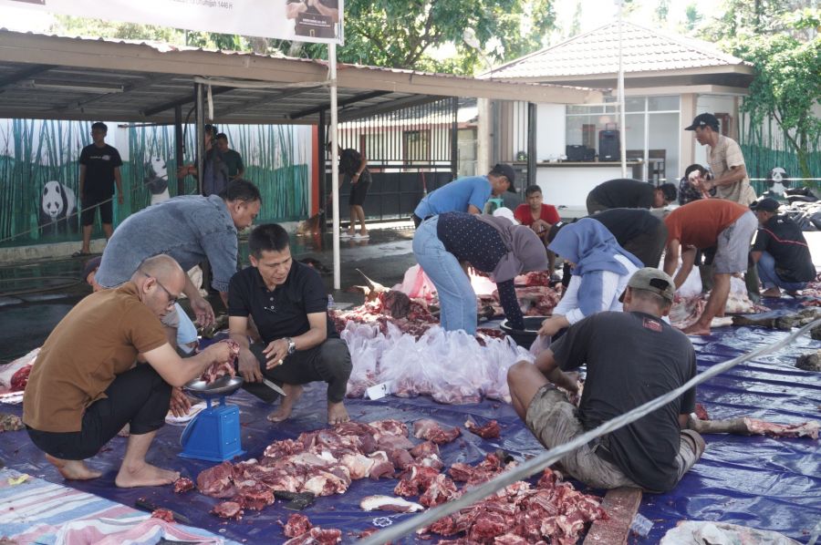 Kejati Sumbar Kurban 8 Sapi, Distribusikan ke Masyarakat 