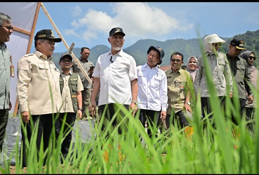 Kemendagri Apresiasi Progres Rehabilitasi Lahan Terdampak Bencana di Sumbar