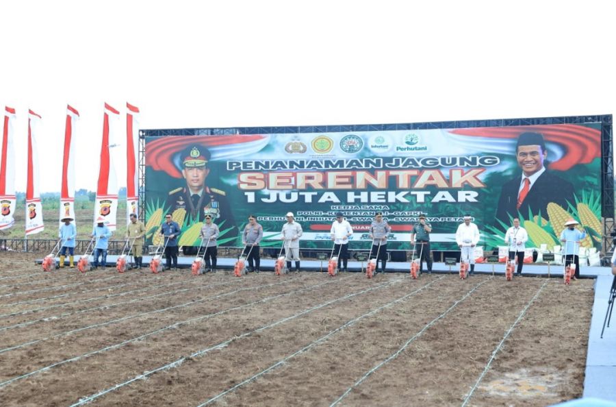 Kementan & Polri Sinergi Menuju Swasembada Jagung 2025, Targetkan 4 Juta Ton Produksi Tambahan