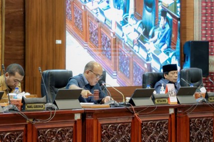 Ketua DPRD Sumbar : Revisi Perda RT/RW Perlu Disegerakan