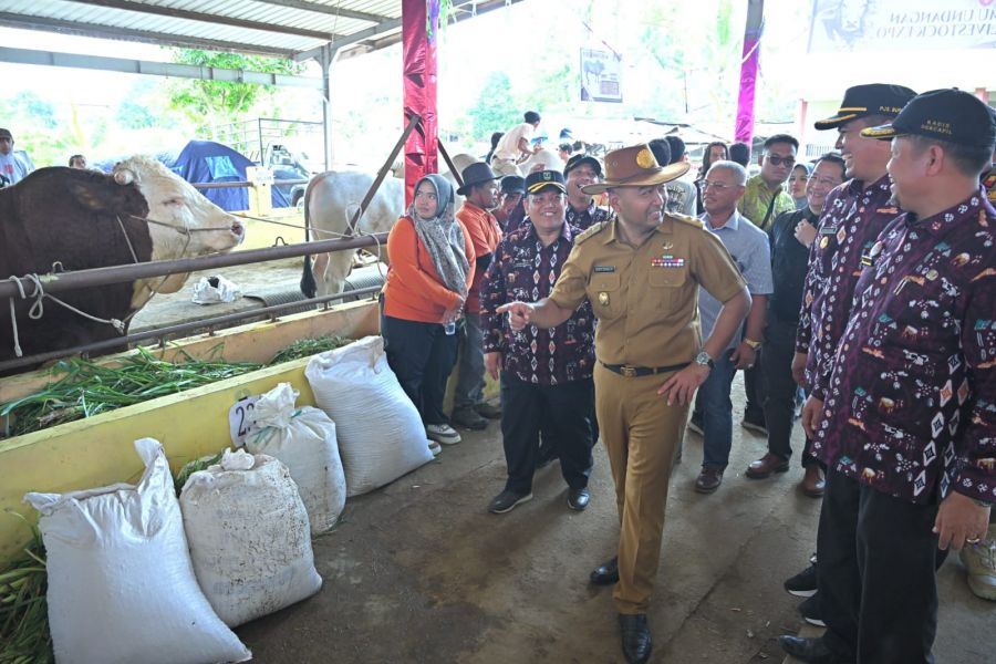 Kontes Ternak dan Livestock Expo 2024: Tingkatkan Ekonomi dan Kesejahteraan Masyarakat di Sumbar