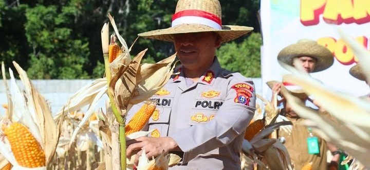 Lahan 5.000 Meter Persegi Jadi Andalan Polres Tapin Dorong Produktivitas Jagung