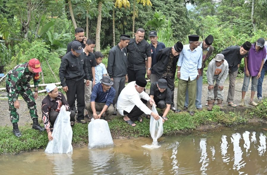 Lepas 8.000 Bibit Nila di Simawang, Mahyeldi Juga Respons Usulan Pengerasan Jalan Akses Pertanian