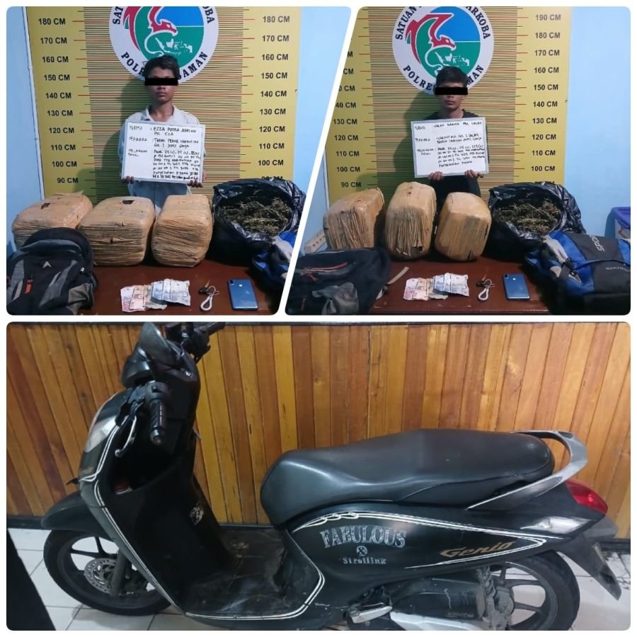 Lewat Jalan Lintas Sumatera, Dua Kurir Ganja Dibekuk Polsek Bonjol, 23 Kg Barang Bukti Diamankan