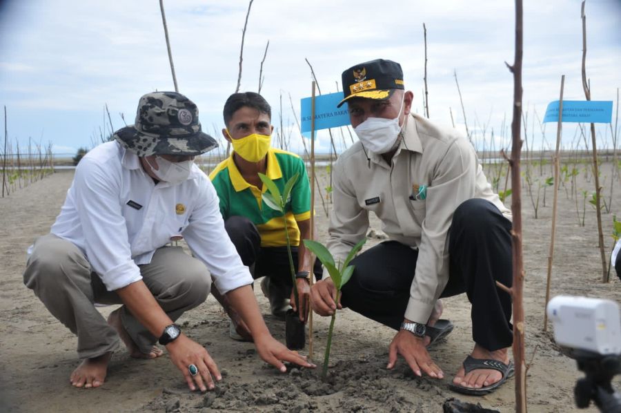 Gubernur Mahyeldi: Mangrove Berfungsi Ganda untuk Mitigasi dan Mendukung Perekonomian Pesisir