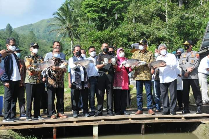 Menteri KKP RI Didampingi Wagub Sumbar Kunjungi Kampung Gurami Bima Anakocia Nagari Suliki