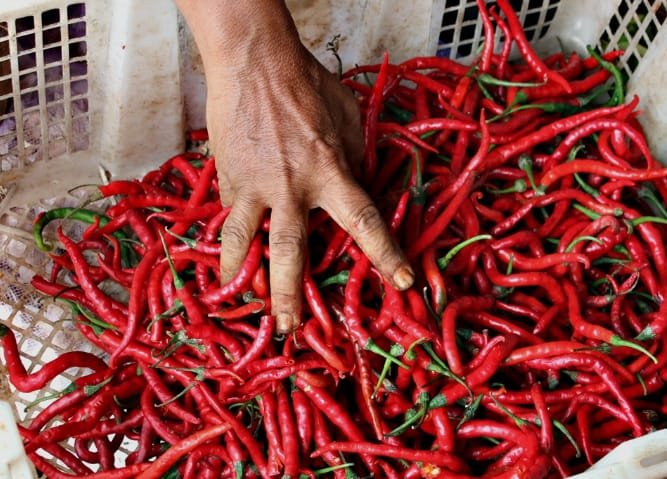 Pasokan Mulai Membaik, Harga Cabai Keriting Turun di Pasar Raya Padang