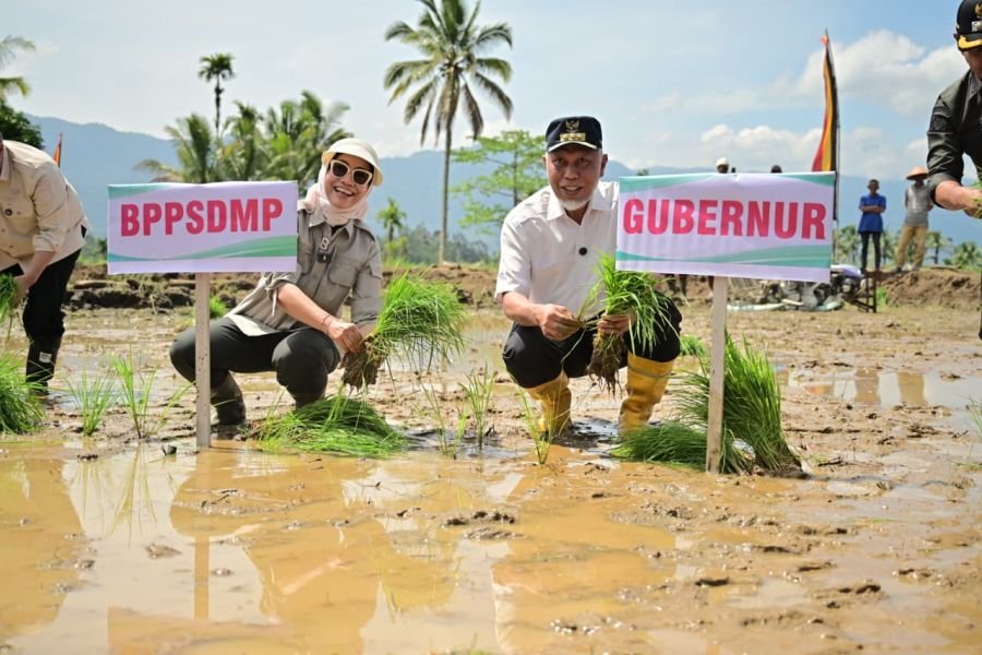 Pemerintah Percepat Pemulihan Lahan Terdampak Bencana dan Antisipasi Kekeringan