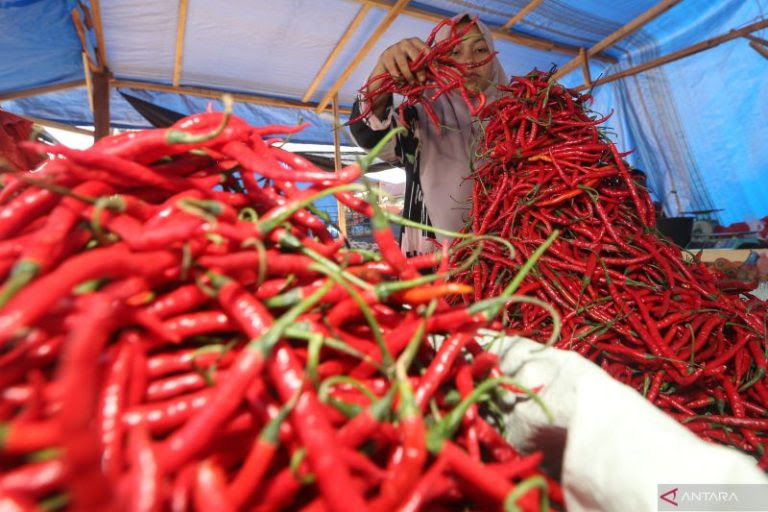 Pemkab Dharmasraya Himbau Masyarakat Jangan Panik dengan Naiknya Harga Bahan Pokok 