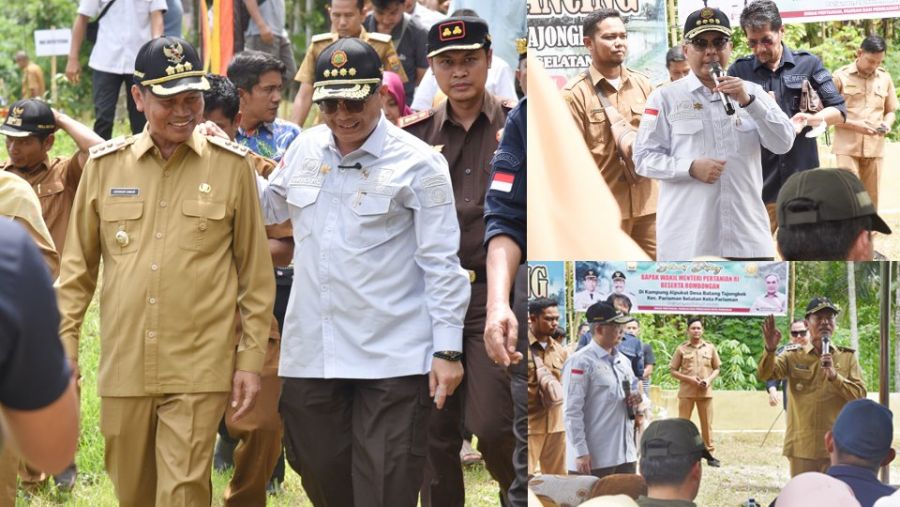 Pemko Pariaman Kembangkan Food Estate Mini di Desa Batang Tajongkek