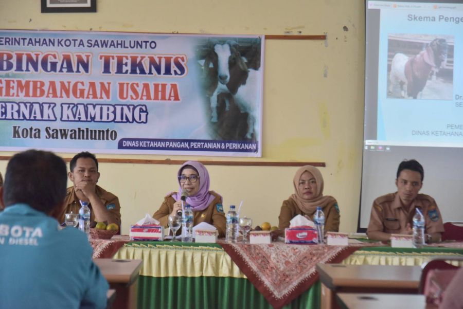 Pemko Sawahlunto Berikan Bimbingan Teknis Pada Penerima Bantuan Ternak Kambing