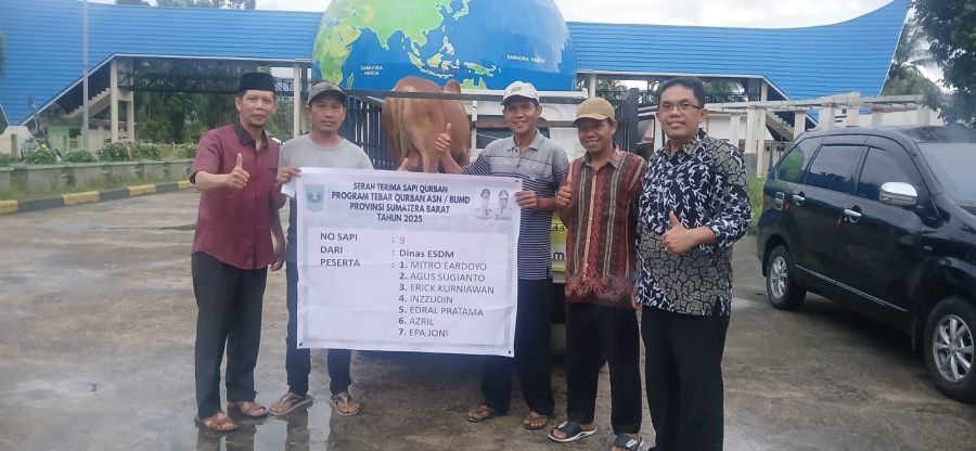 Pemprov Sumbar Distribusikan 68 Ekor Sapi Qurban, 7 Ekor Di Antaranya untuk Warga Palestina