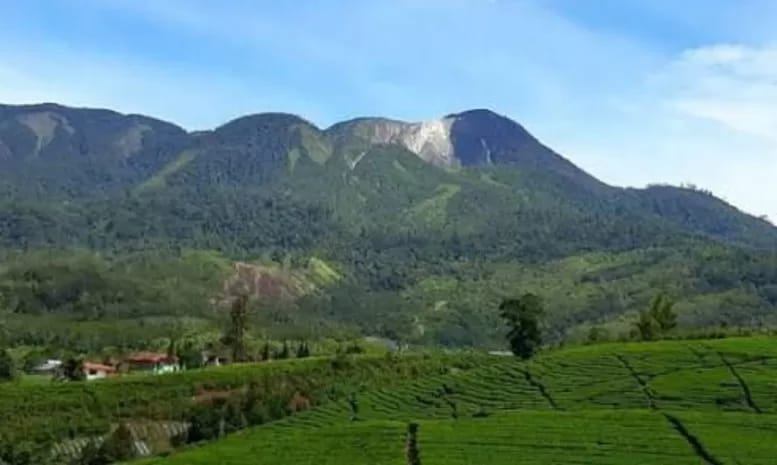 Pendakian Gunung Talang Ditutup Selama Ramadhan, Jalur Favorit Bukik Bulek Resmi Dihentikan Sementar
