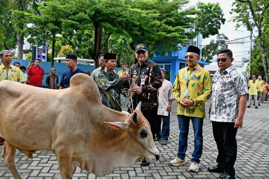 Penyerahan Hewan Qurban Perumda AM Padang, Pj Wako: Berqurban Bisa Menghindari Diri dari Hal Buruk