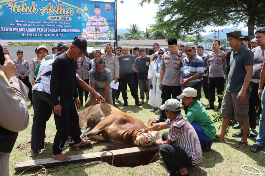 Peringati Idul Adha 1447 H: Polres Sijunjung Sembelih 10 Hewan Korban