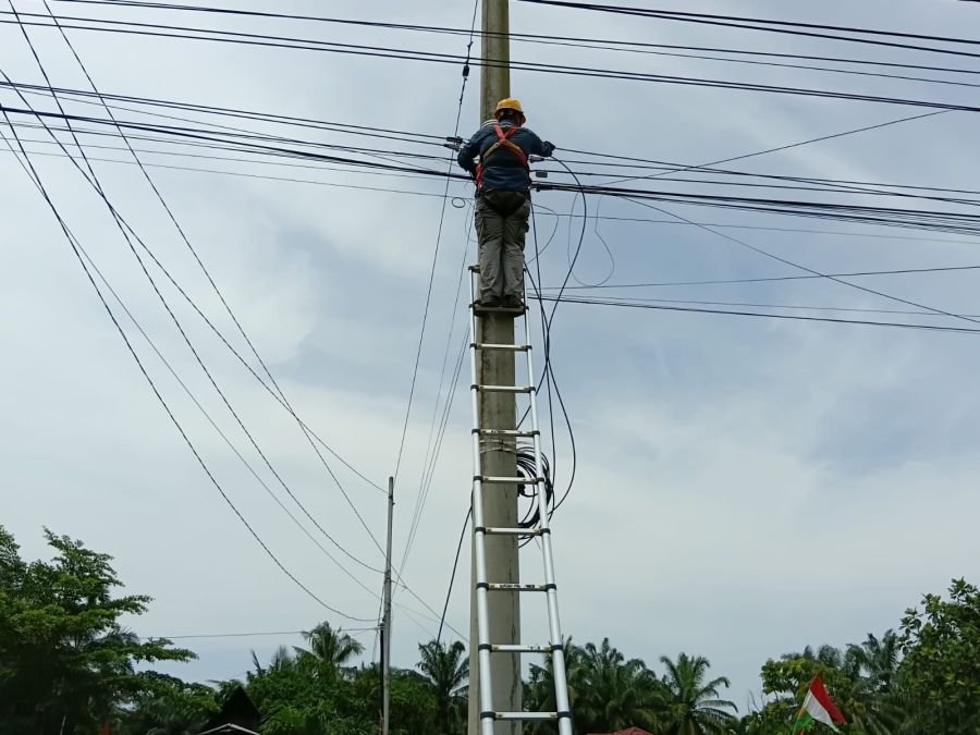 Perkuat Aset Telekomunikasi, PLN Icon Plus Lakukan Pemeliharaan Jaringan melalui P3AK di Rokan Hulu