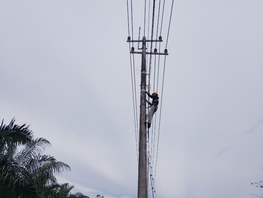 Perkuat Konektivitas Digital, PLN Icon Plus Lakukan Pemeliharaan Jaringan Fiber Optik di Siak, Riau