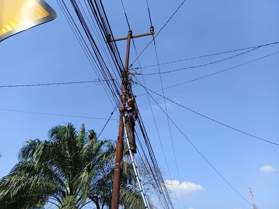 Perkuat Pengelolaan Aset Jaringan, PLN Icon Plus Lakukan Pemeliharaan Rutin di Rokan Hulu